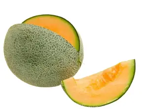 varieties of melon cantaloupe