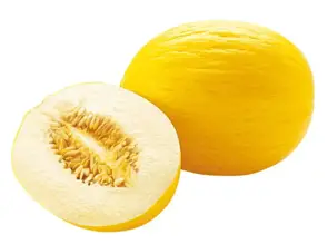 types of melon honeydew melon