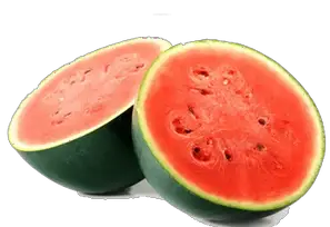 types of melon watermelon