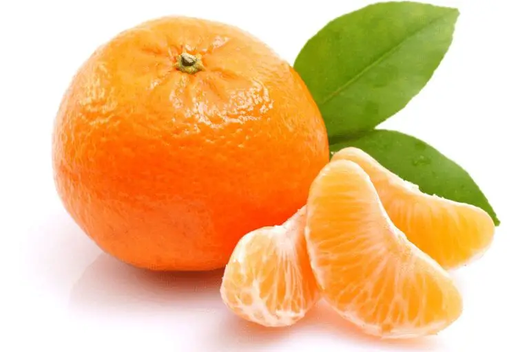 mandarin season